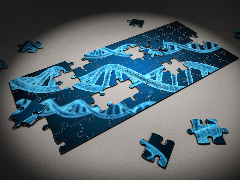 partially completed puzzle with DNA