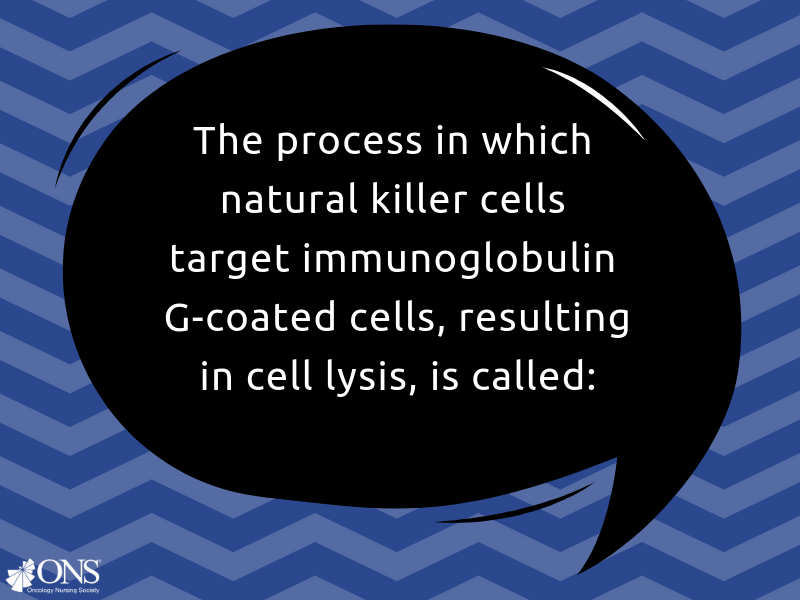 What Is the Process Called When Natural Killer Cells Target Immunoglobulin G-Coated Cells, Resulting in Cell Lysis?