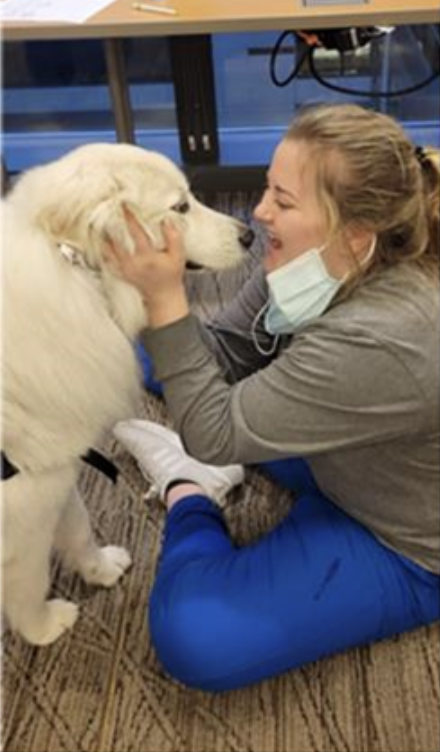 Institutional Service Dogs Help Nurses With Their Practice and Well-Being