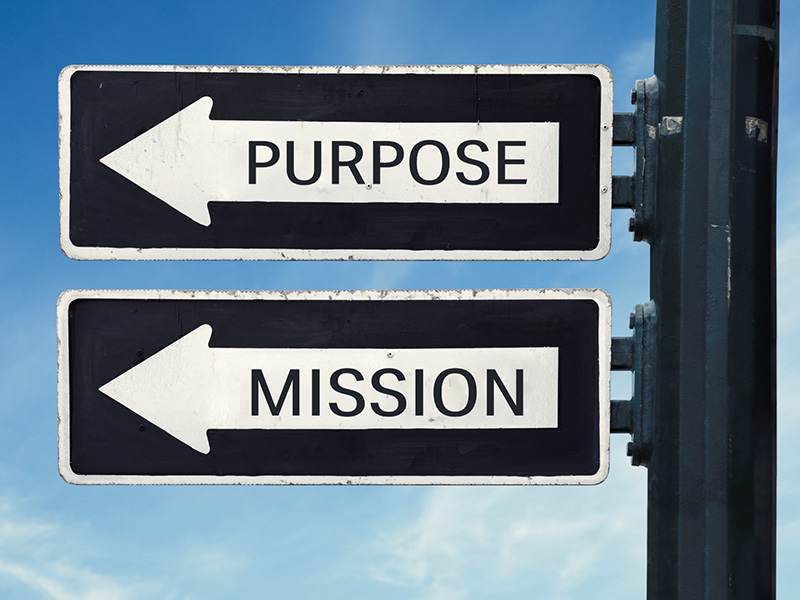 Purpose and Mission Drive Our 50 Years—and Counting—of Service to Oncology Nurses 
