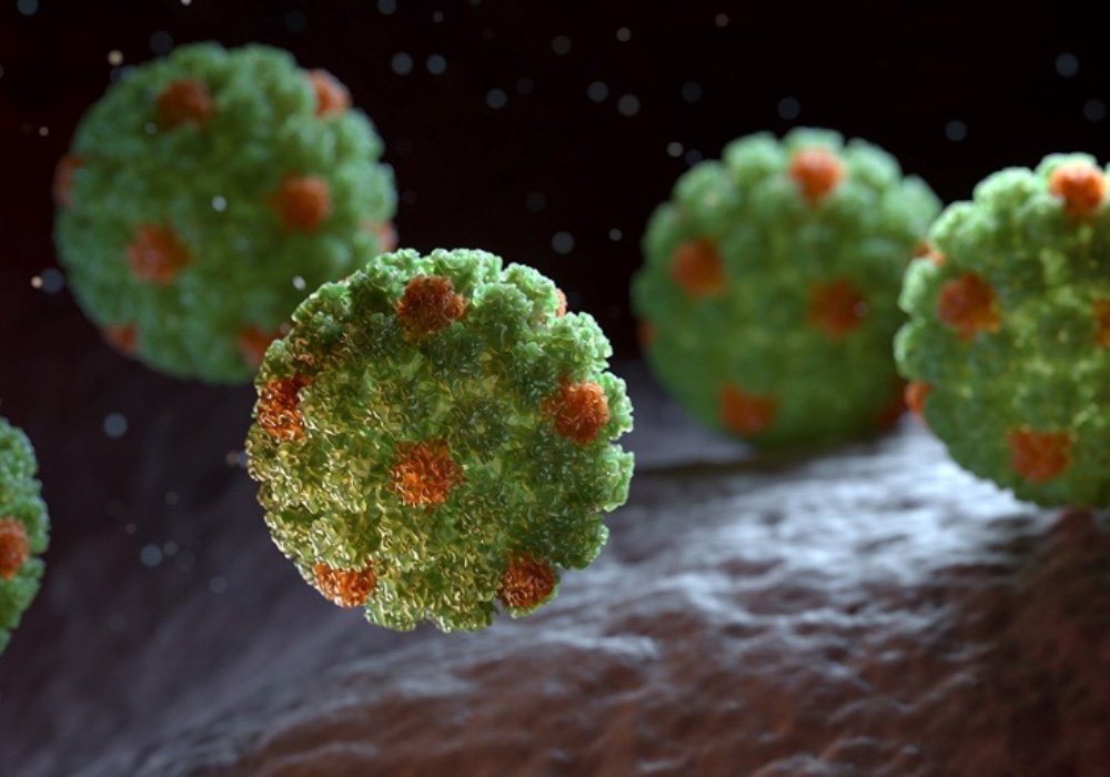 cellular level closeup of green colored hpv cells which reflects an increased cancer risk