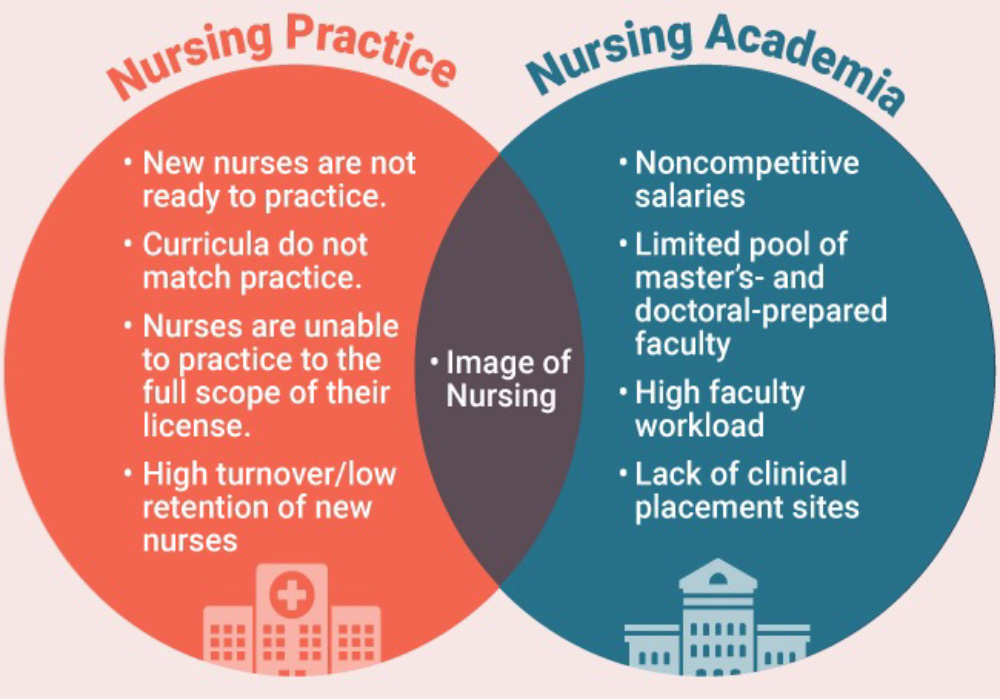 Venn diagram of nursing practice and nursing academia